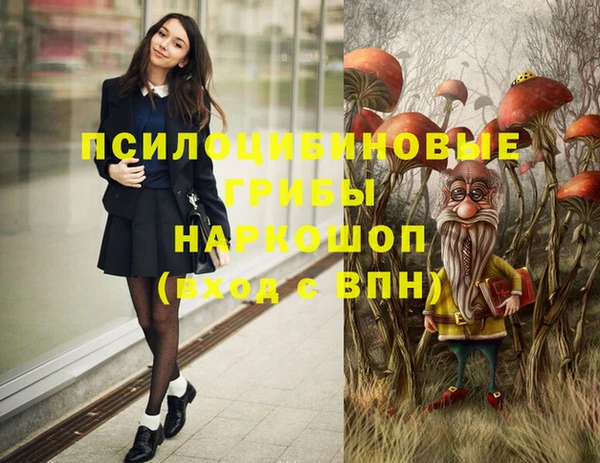 винт Новозыбков