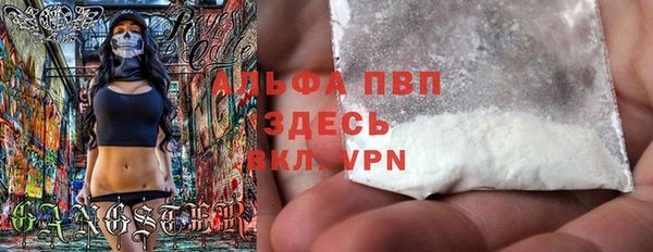 винт Новозыбков