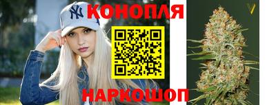 спиды Канаш