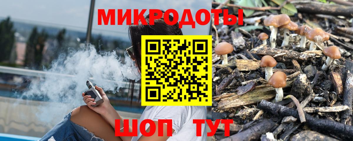 Галлюциногенные грибы Psilocybine cubensis  Галлюциногенные грибы GOLDEN TEACHER  Саратов  Вход с VPN 